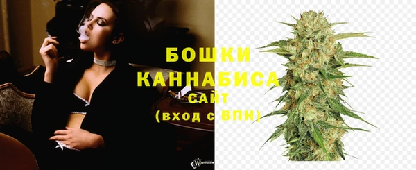 шишки Богородицк