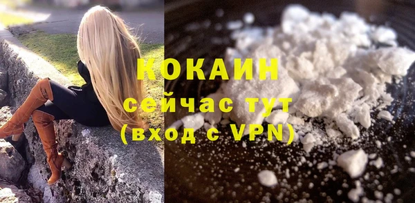 шишки Богданович