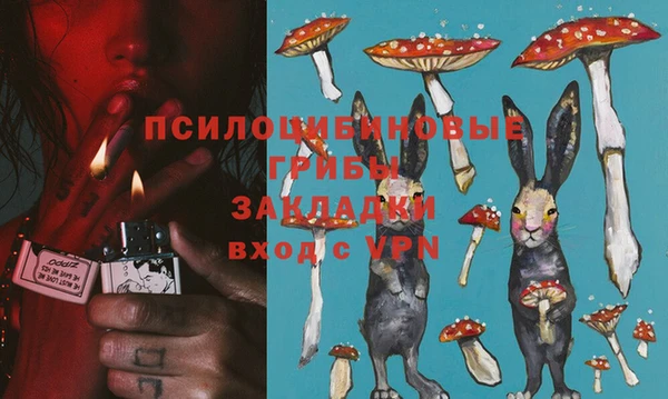 шишки Богородицк