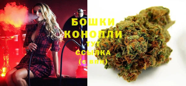 шишки Богданович