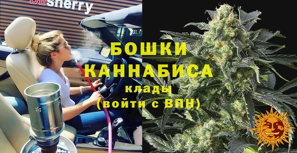 шишки Богородицк