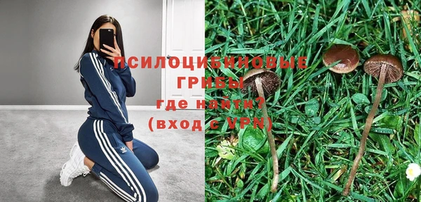 герыч Богородск