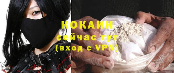 шишки Богородицк