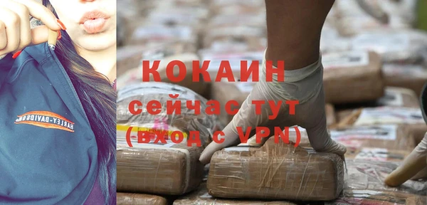 шишки Богданович