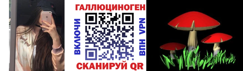 купить наркотики сайты  Саяногорск  Псилоцибиновые грибы Cubensis 