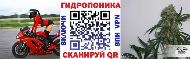МАРИХУАНА конопля Саяногорск